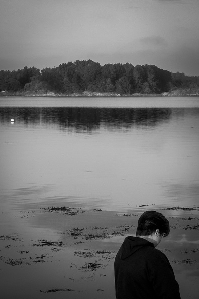 Golfe du Morbihan.jpg