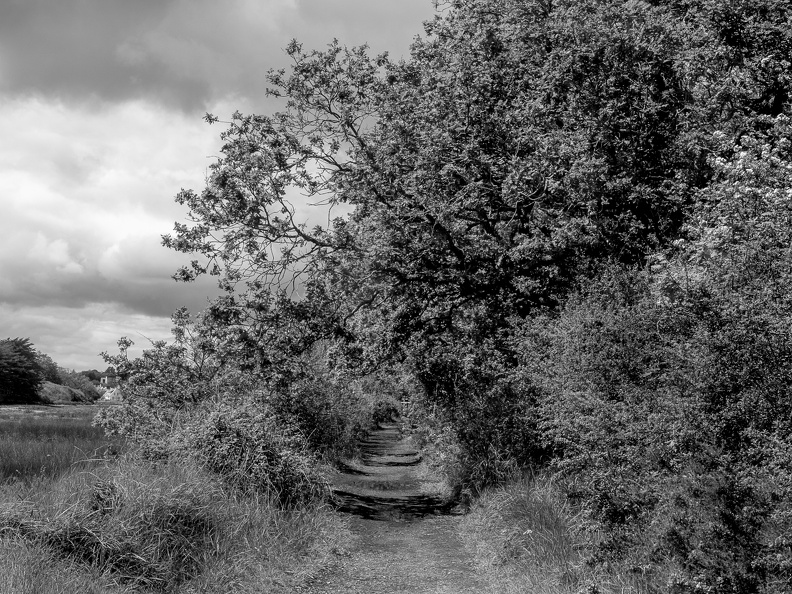 Pointe de l'Ours.jpg