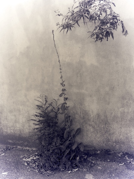 Par les rues II – C-Minot.jpg