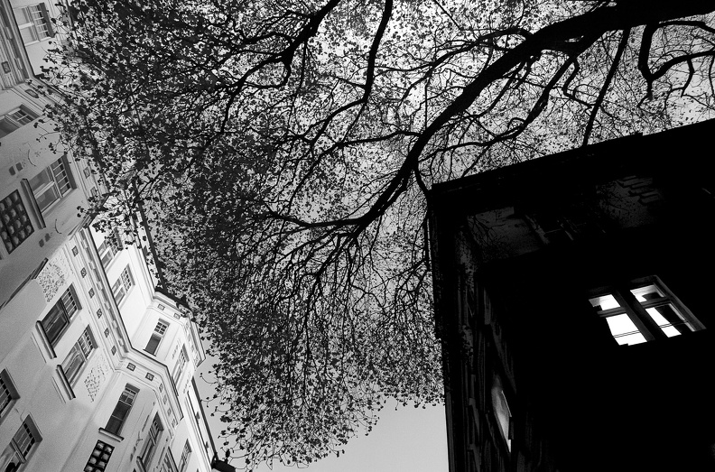 Entre deux à Vienne.jpg